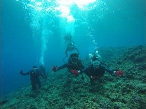 プランの魅力 在学生中很受欢迎！ の画像