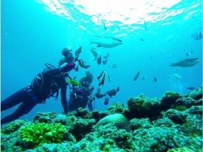 プランの魅力 喂♪ の画像