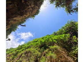 プランの魅力  の画像