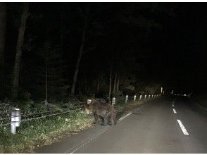 プランの魅力 の画像