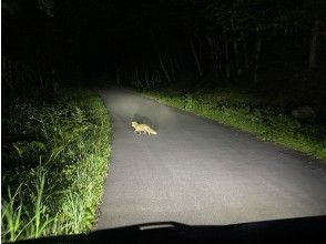 プランの魅力 の画像