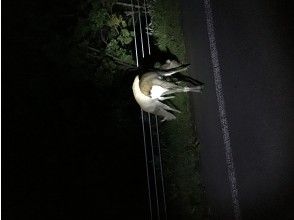 プランの魅力 の画像