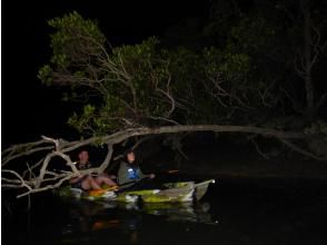 プランの魅力 A great adventure on the Hija River at night の画像