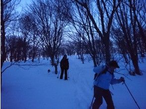 プランの魅力 在雪地里奔跑！ の画像