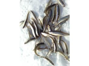 プランの魅力 물이 깨끗한 かなやま湖 빙어는 냄새가없고 맛과 명성! 튀겨낸 빙어은 바삭 바삭 푹신 푹신하고 맛있습니다. の画像