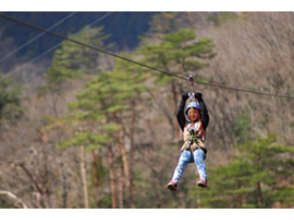 プランの魅力 I will go down the 2-course zip line of 510 m and 480 m! の画像