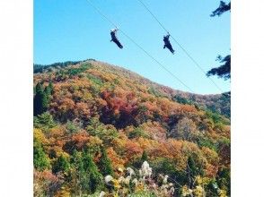 プランの魅力 Great sky watching the scenery of the seasons の画像