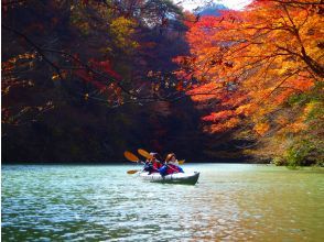 プランの魅力 Lake Akaya in autumn の画像