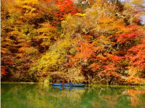 プランの魅力 Lake Akaya in autumn の画像