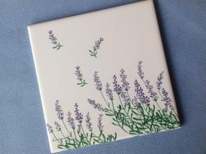 プランの魅力  の画像