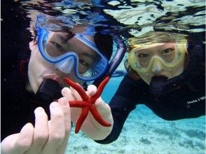 プランの魅力 水中写真プレゼント！ の画像