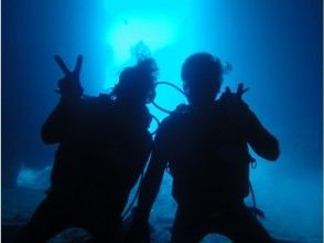 プランの魅力 underwater Photo present! の画像