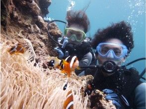 プランの魅力 underwater Photo present! の画像