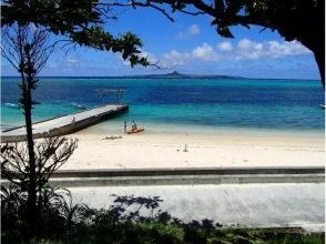 プランの魅力 희귀 생물도 ... の画像