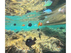 プランの魅力  の画像