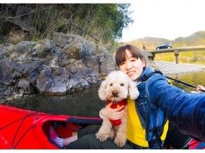 プランの魅力 With your dog ♪ の画像