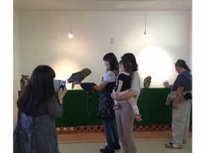 プランの魅力 Contact with owl staff の画像