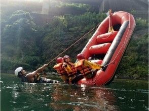 プランの魅力 ウィリー の画像