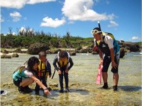 プランの魅力 Curious about marine life! の画像