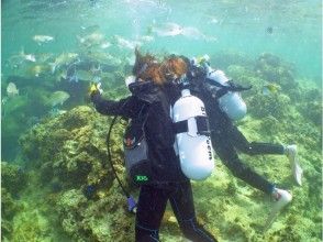 プランの魅力 带特殊的气缸... の画像