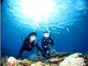 プランの魅力 餌付け体験もできる！ の画像