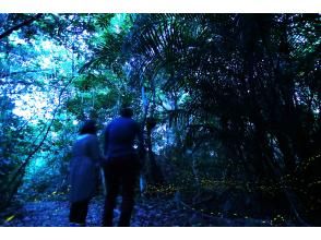 プランの魅力  の画像