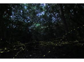 プランの魅力  の画像