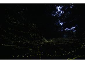 プランの魅力  の画像