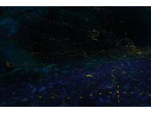 プランの魅力  の画像