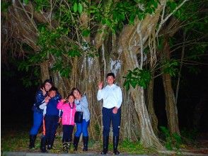 プランの魅力 大人気ナイトプラン！ の画像