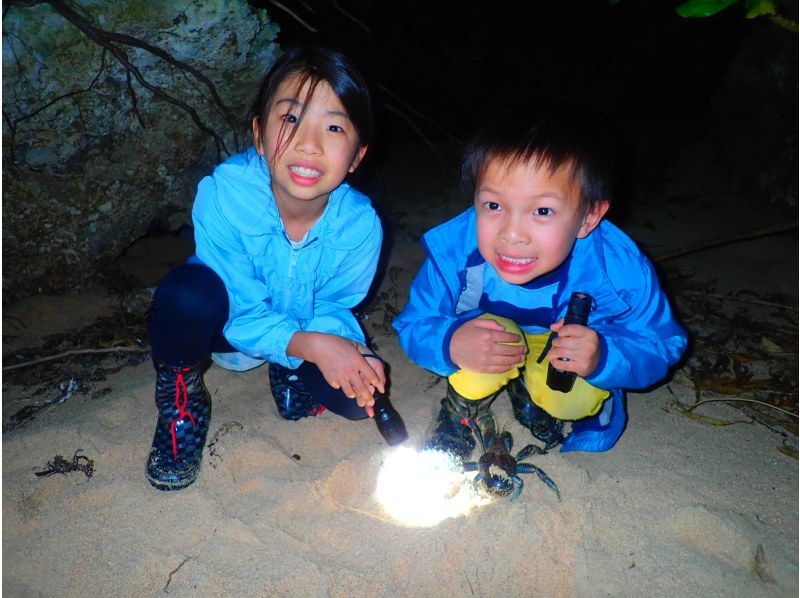 沖縄　石垣島　子連れにおすすめ　子供が喜ぶツアー　ナイトツアー　ヤシガニ　ジャングル探検　探索