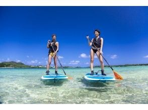 プランの魅力 SUP(Stand Up Paddleboarding) の画像
