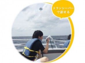 プランの魅力 您可以在对讲机上通话。 の画像