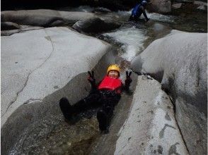 プランの魅力  の画像