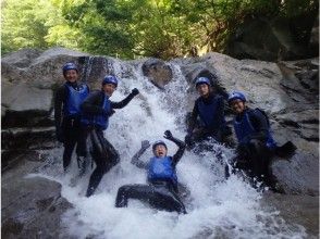 プランの魅力  の画像