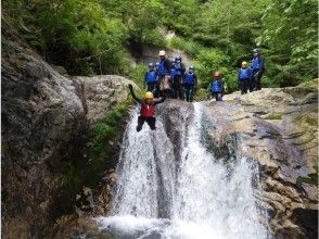 プランの魅力  の画像