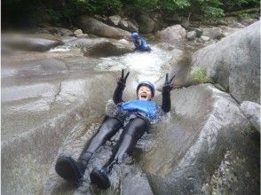 プランの魅力  の画像