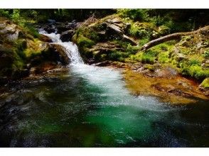 プランの魅力  の画像