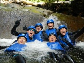 プランの魅力  の画像