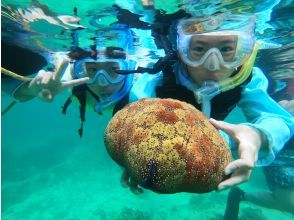 プランの魅力 不思議な生き物とふれあい の画像