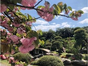 プランの魅力 与奄美大岛同时流动的“Amami no Sato” の画像