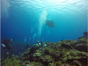 プランの魅力 Feel free to enjoy the Ishigaki Blue Sea! の画像