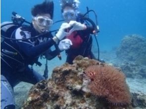 プランの魅力 Commemorative photo with a couple の画像