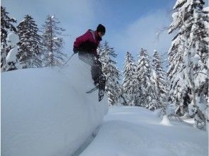 プランの魅力 Jump from Kamonuma Wasabi Swamp Course / Snow Mountain の画像