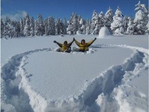 プランの魅力 Kamonuma Wasabi Swamp Course-The world of powder snow for only two people の画像