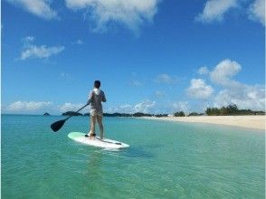 プランの魅力  の画像