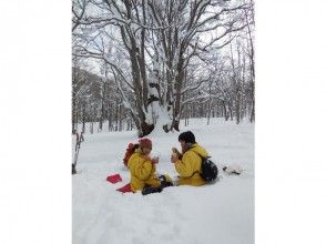 プランの魅力 Tenninkyo Forest God Course, 900-year-old wig, forest symbol の画像