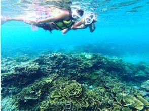 プランの魅力 Grab your heart to the beautiful corals ♡ の画像