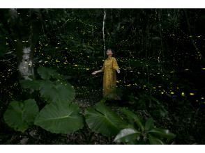 プランの魅力 八重山姬萤火虫鉴赏 の画像