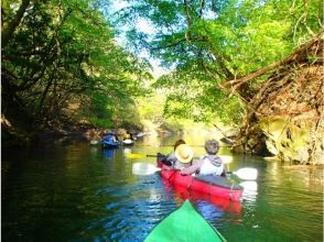 プランの魅力 Enjoy the fresh green nature-Experience seasonal nature with a kayak の画像
